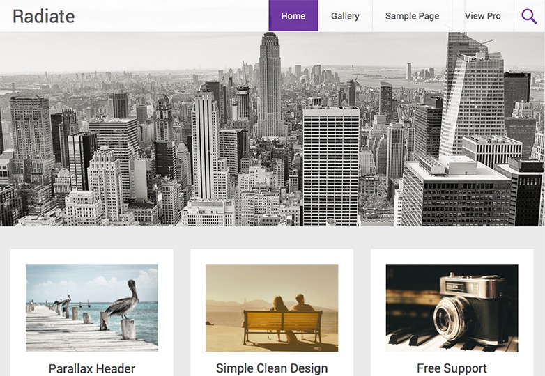 معرفی +25 پوسته منتخب وردپرس در سال 2014 181