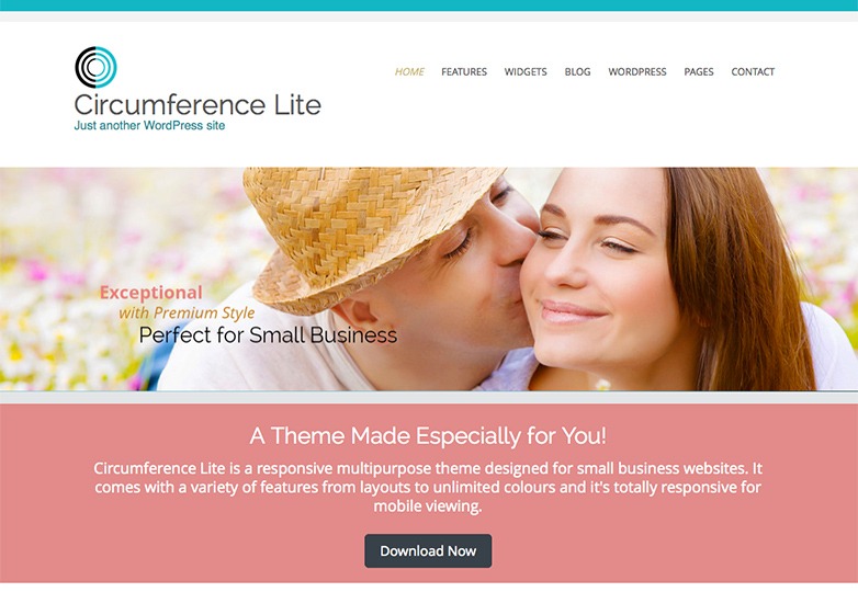 معرفی +25 پوسته منتخب وردپرس در سال 2014 20