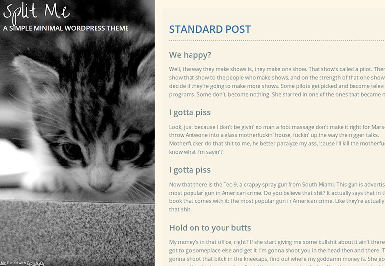 معرفی +25 پوسته منتخب وردپرس در سال 2014 2110