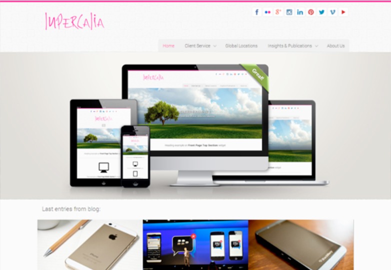 معرفی +25 پوسته منتخب وردپرس در سال 2014 241