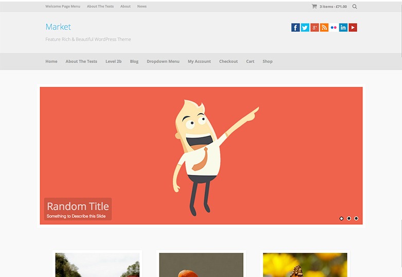 معرفی +25 پوسته منتخب وردپرس در سال 2014 251