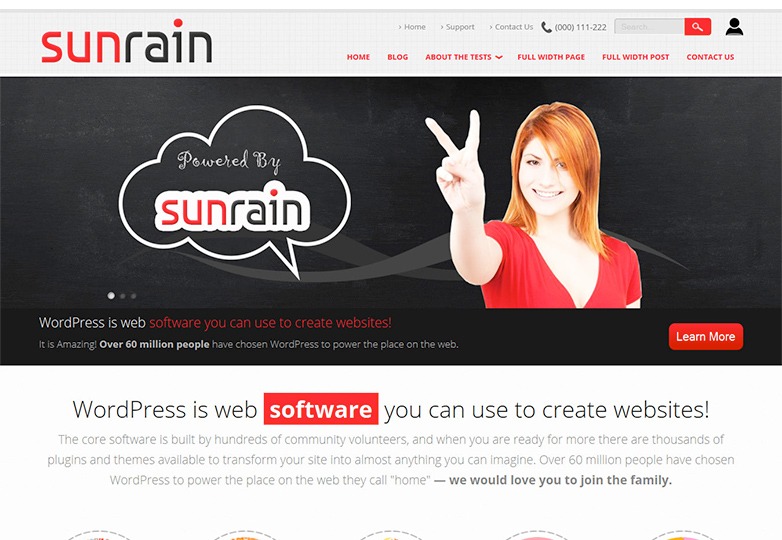 معرفی +25 پوسته منتخب وردپرس در سال 2014 9