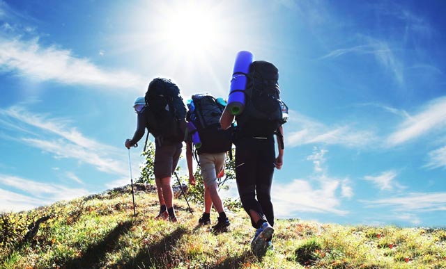 8b99b9a0a0179e624b7018c8ab7e6866