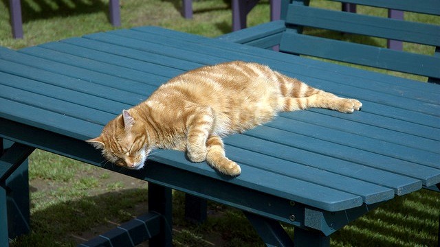 f116e46502eb8090f482f36245f75786